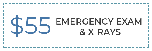 emergency exam $55 coupon